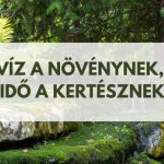 Víz a növénynek, idő a kertésznek
